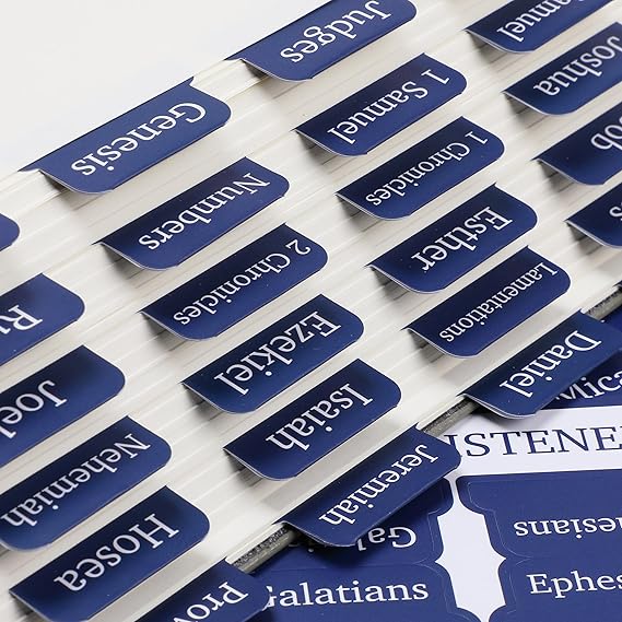 Amplified Holy Bible, Large Print, Hardcover